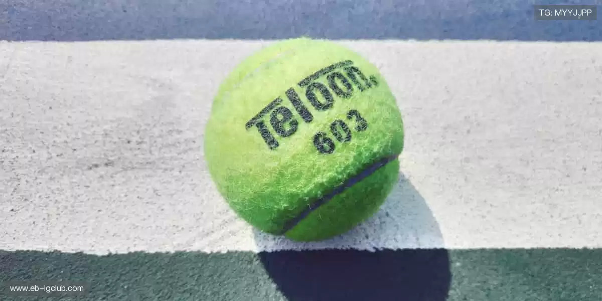 🎯 专业装备,让你的每一次挥拍都精准如冠军!